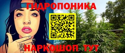 PSILOCYBIN Ирбит