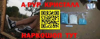 PSILOCYBIN Ирбит