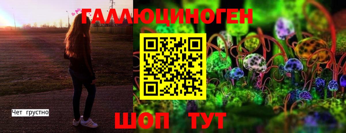 Изобильный  Псилоцибиновые грибы Psilocybe  Вход с VPN  Псилоцибиновые грибы Cubensis 